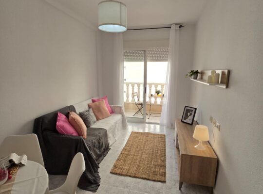 Квартира в зимнюю аренду от собственника без комиссии в г. Торревьеха, Район Playa de los Locos