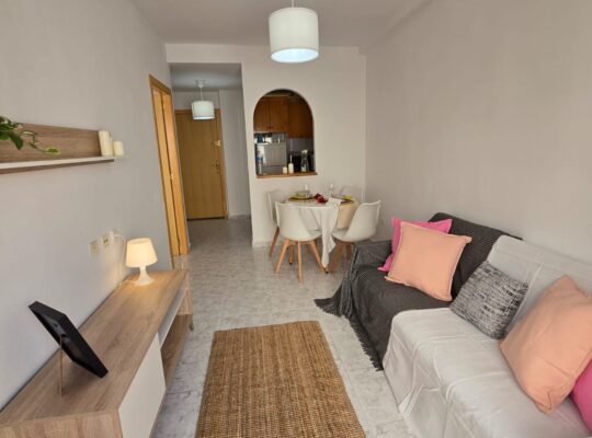 Квартира в зимнюю аренду от собственника без комиссии в г. Торревьеха, Район Playa de los Locos